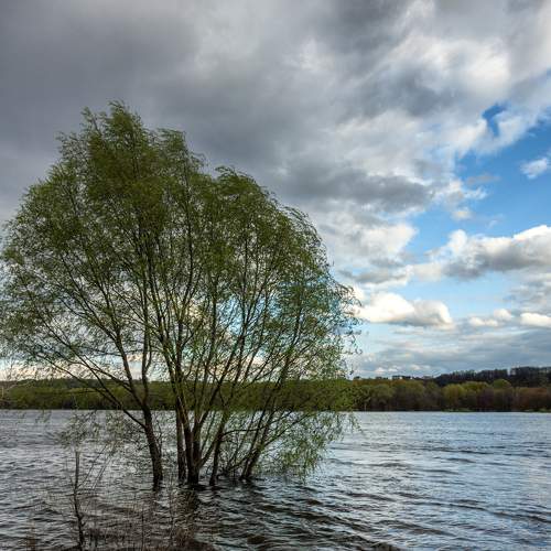 Photo #6061264