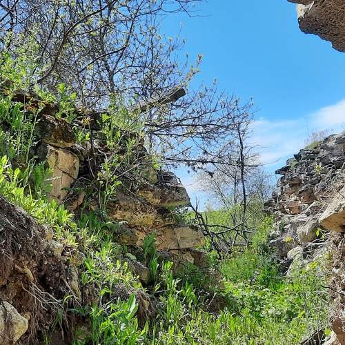 Photo #6061415