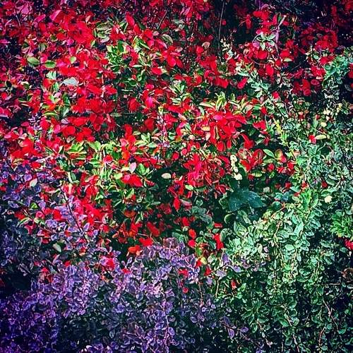 Photo #6061580
