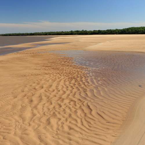 Photo #6061922