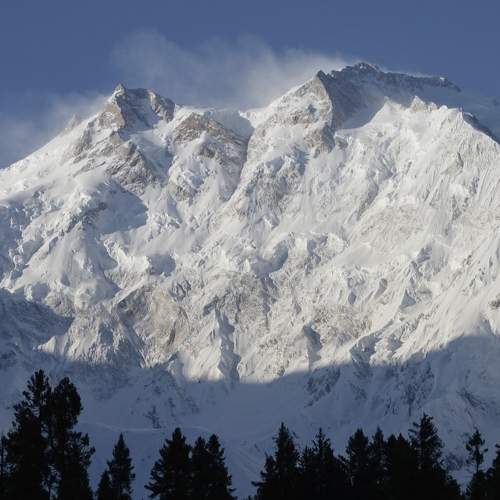 Photo #6061933