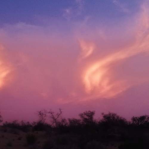 Photo #6061952