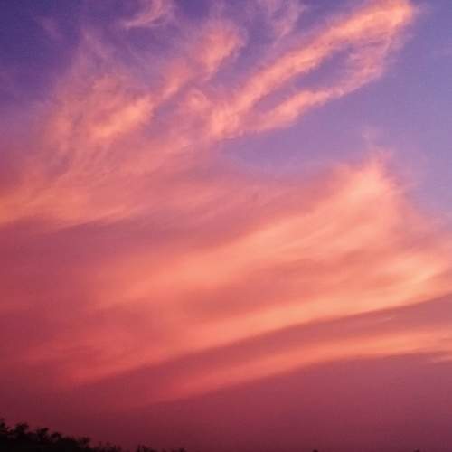 Photo #6061956