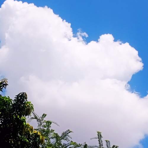 Photo #6061960
