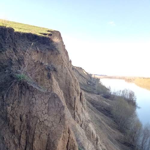 Photo #6061998