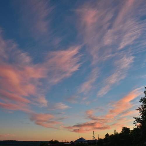 Photo #6062057