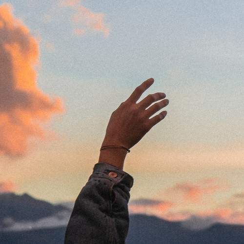 Photo #6062067