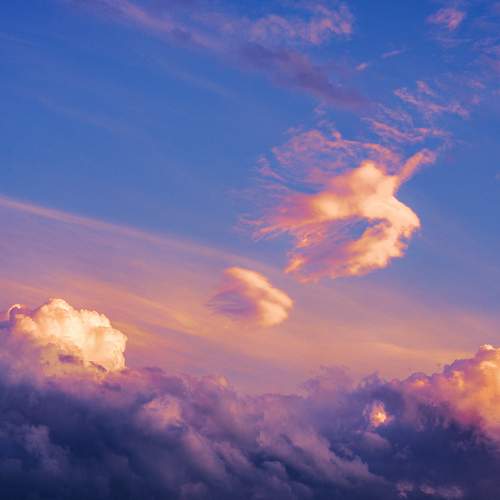 Photo #6062246