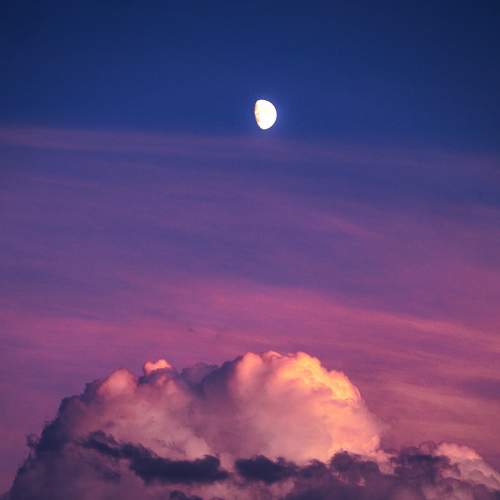 Photo #6062247
