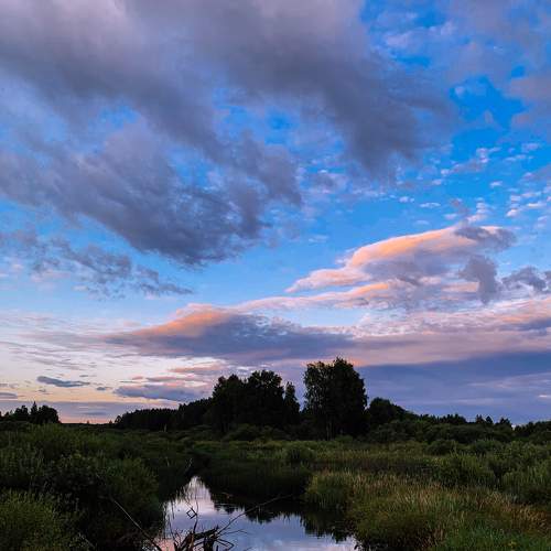 Photo #6062370