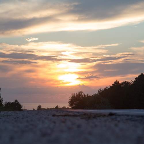 Photo #6062606