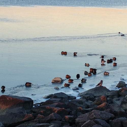 Photo #6062608