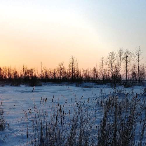 Photo #6062614