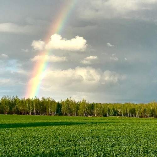 Сквозь облака