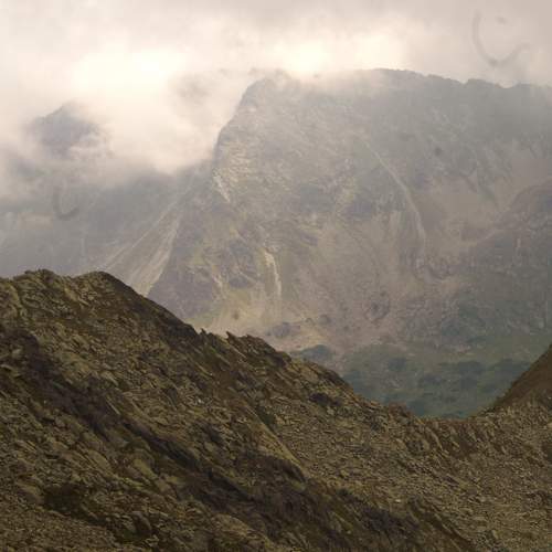 Photo #6063285