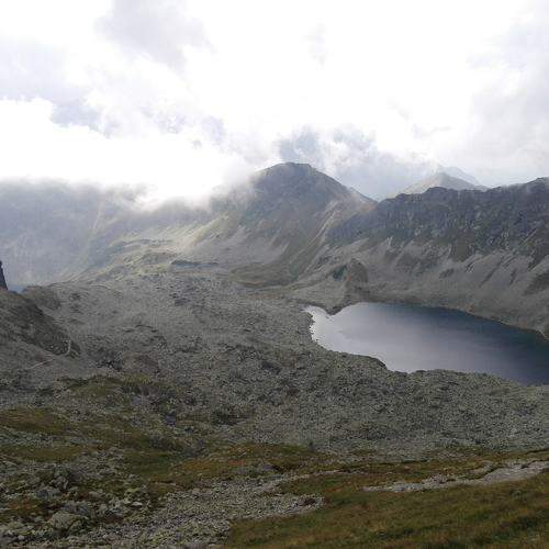 Photo #6063287