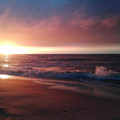 Photo #6063290