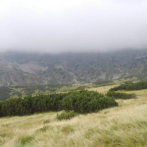 Photo #6063296