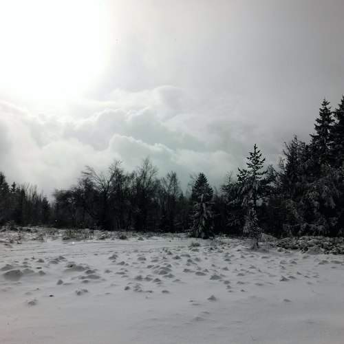 Photo #6063297
