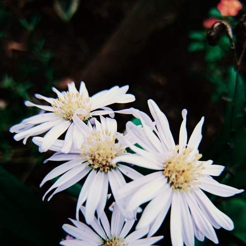 Photo #6063468