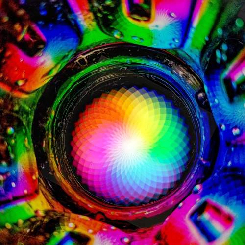 Photo #6063472