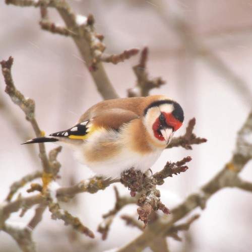 Photo #6063498