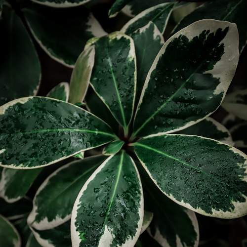 Photo #6063690