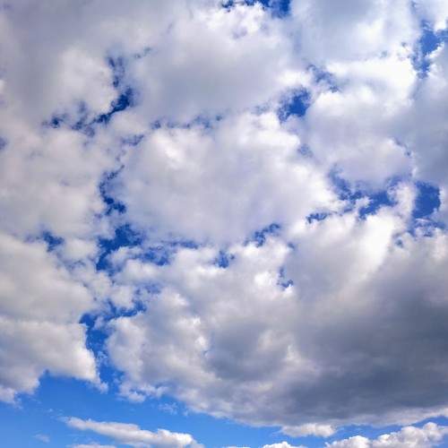 Photo #6063740