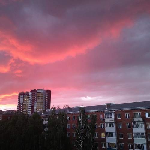 Photo #6063746