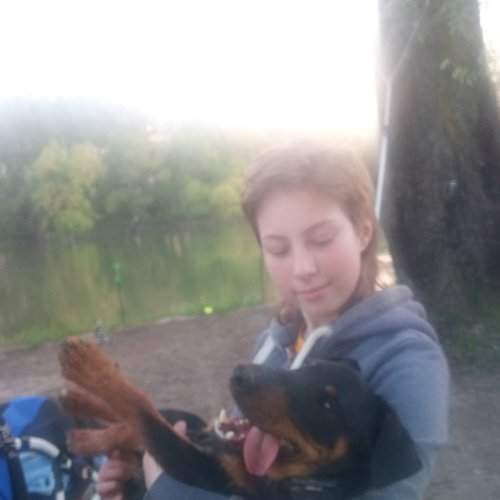 Photo #6063841