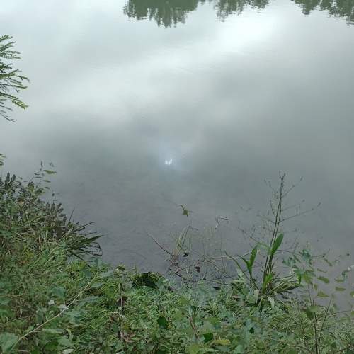 Photo #6063855