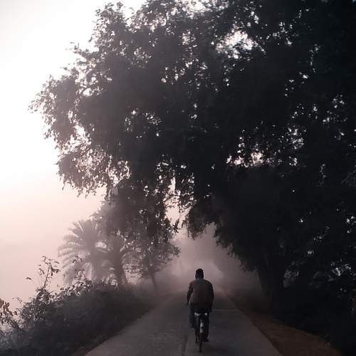 Photo #6063882