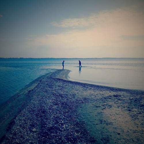 Photo #6064051