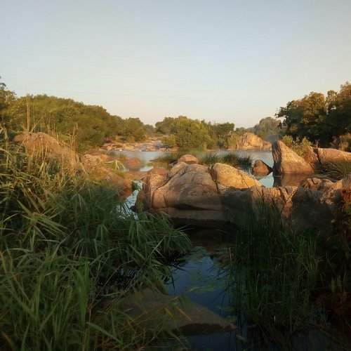 Photo #6064060