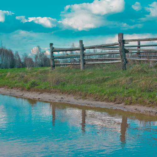 Photo #6064100