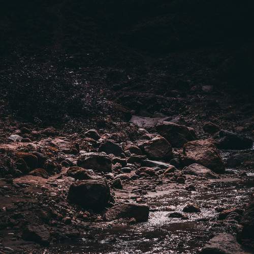 Photo #6064155