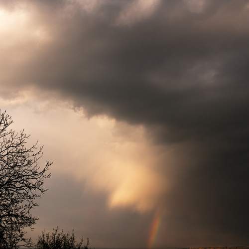 Photo #6064557