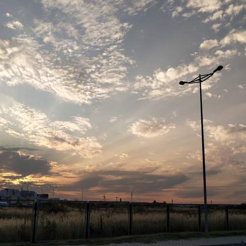 Photo #6064657
