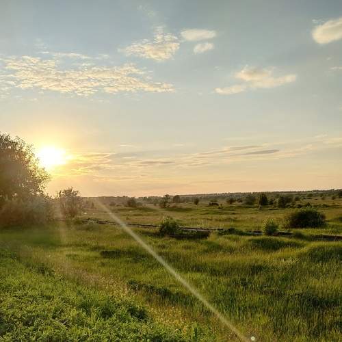 Photo #6064675