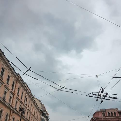 Photo #6064788