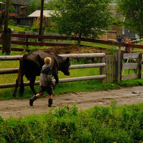Photo #6064808