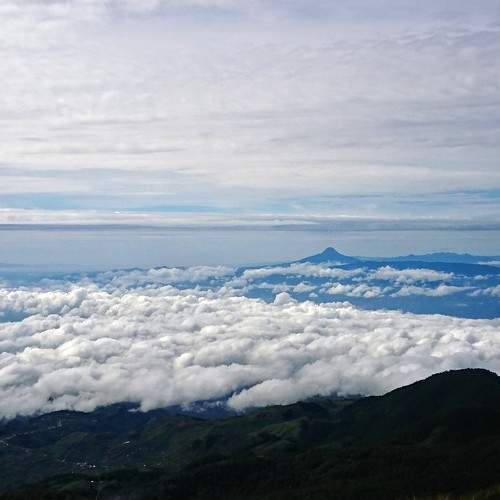 Photo #6064819