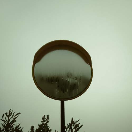 Foggy Morning