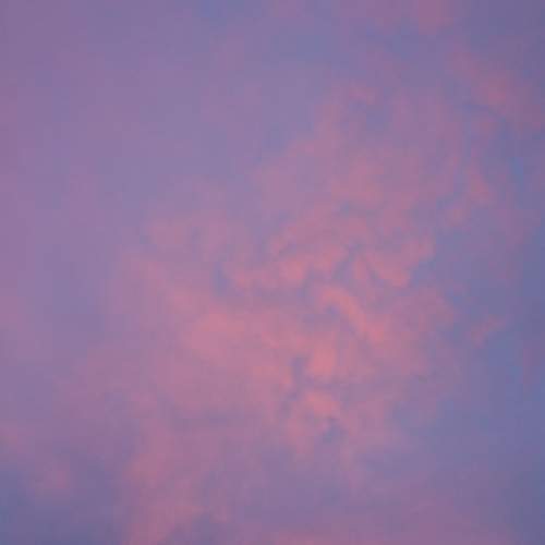 Photo #6064829