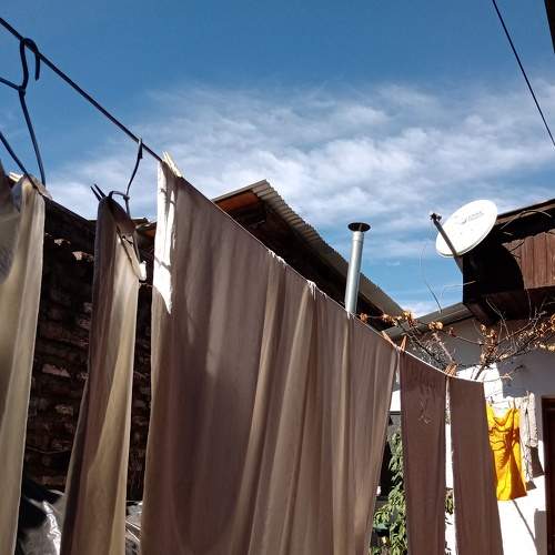 Photo #6064893