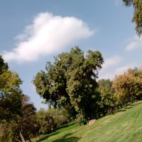 Photo #6064895