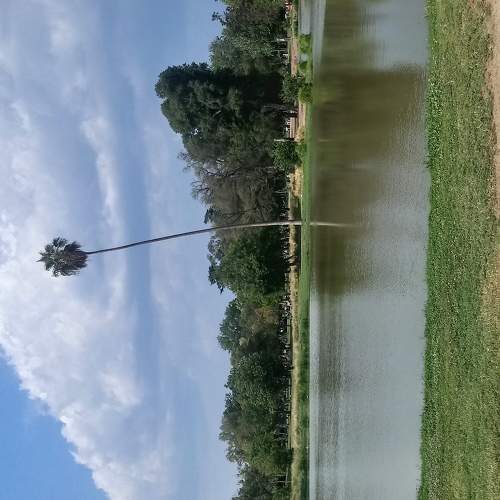 Photo #6064902