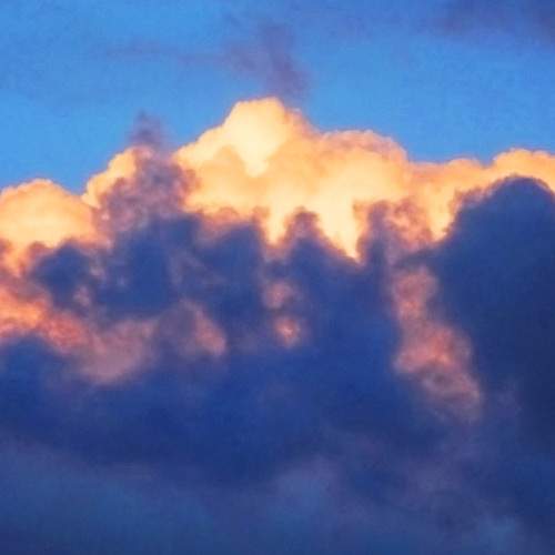 Photo #6065050