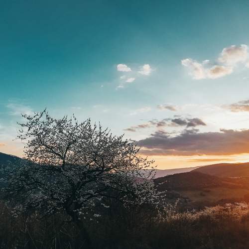 Photo #6065140