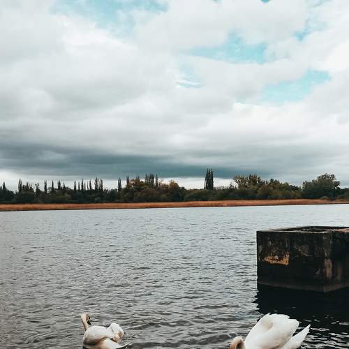 Sunday walks around lake